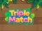 Igra Triple Matched spletu