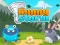 Igra Bunny Storm spletu