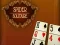 Igra Spider Solitaire spletu