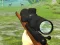 Igra Hunter 3D spletu