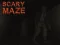 Igra Scary Maze spletu