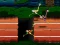 Igra Big Birds Racing spletu