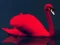 Igra Love Birds Puzzle spletu