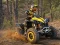 Igra ATV Offroad Puzzle spletu