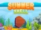 Igra Summer Shell spletu