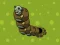 Igra Zombie Worms spletu