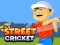 Igra Street Cricket spletu