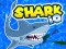 Igra Shark io spletu