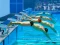Igra Swimming Pool Race spletu