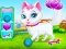 Igra Pet Health Care spletu