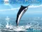 Igra Azure Sea Fishing spletu