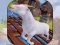 Igra Angry Goat Wild Animal Rampage spletu