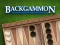Igra Backgammon spletu