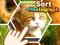 Igra Sort Photograph spletu