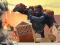 Igra Angry City Smasher spletu