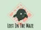 Igra Lost In The Maze spletu