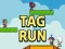 Igra Tag Run spletu
