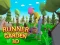 Igra Runner Garden 3d spletu