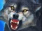 Igra Sniper Wolf Hunter spletu