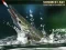 Igra Summer Lake 1.5 spletu