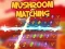 Igra Mushroom matching spletu