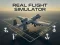 Igra Real Flight Simulator spletu