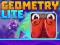 Igra Geometry Lite spletu