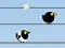Igra Gone with the Birds spletu