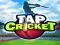 Igra Tap Cricket spletu