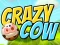 Igra Crazy Cow spletu