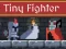 Igra Tiny Fighter Unstoppable Run spletu