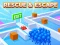 Igra Resuce & Escape spletu