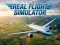 Igra Real Flight Simulator spletu