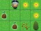 Igra Magic Seeds spletu