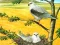 Igra Birds Of Prey Puzzle spletu