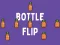 Igra Bottle Flip spletu
