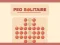Igra Peg Solitaire spletu