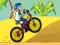Igra BMX Boy Online spletu