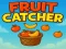 Igra Fruit catcher spletu