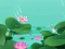 Igra Lotus Flowers spletu