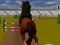 Igra Jumping Horse 3d spletu