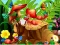 Igra Hidden Objects Insects spletu