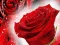 Igra Red Roses spletu