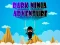 Igra Dark Ninja Adventure spletu