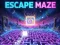 Igra Escape Maze spletu