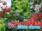 Igra Spring Flowers: Hidden Objects spletu