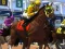 Igra Horse Racing spletu