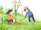 Igra Arbor Day Puzzle spletu
