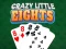 Igra Crazy Little Eights spletu