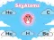 Igra SkyAtoms spletu